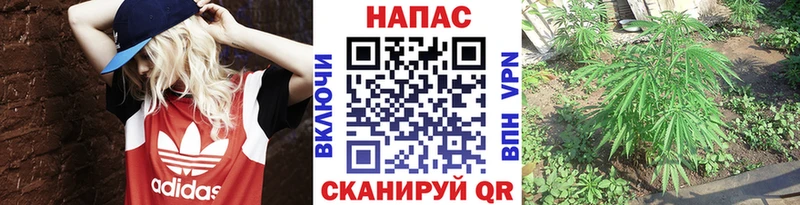 Купить АМФЕТАМИН  Меф мяу мяу  Бошки Шишки  СК  Вольск