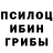 Псилоцибиновые грибы MAGIC MUSHROOMS Kuat Tv