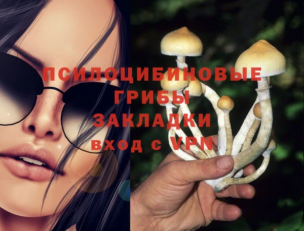 хмурый Алзамай