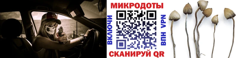 Купить где Вольск Псилоцибиновые грибы мухоморы
